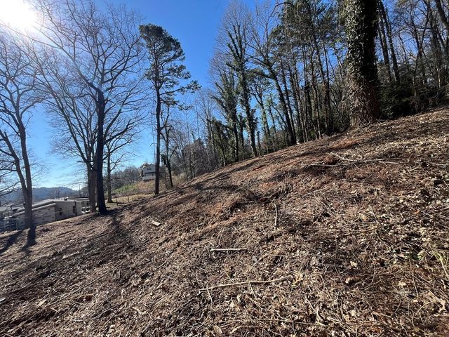 59 Bradley Street, Blue Ridge, GA 30513