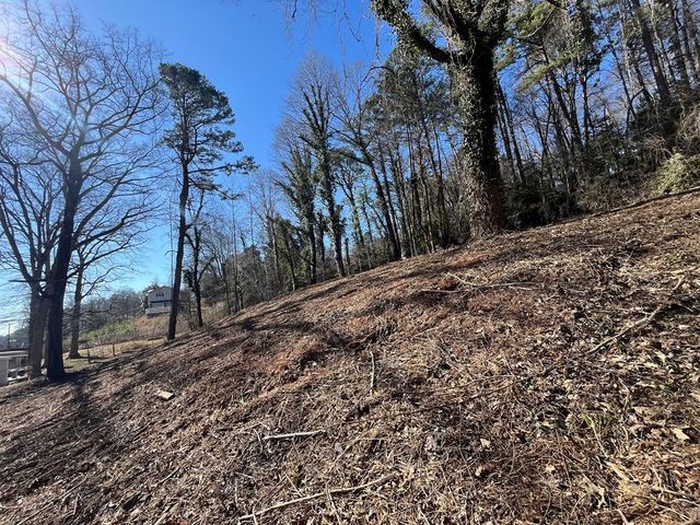 59 Bradley Street, Blue Ridge, GA 30513