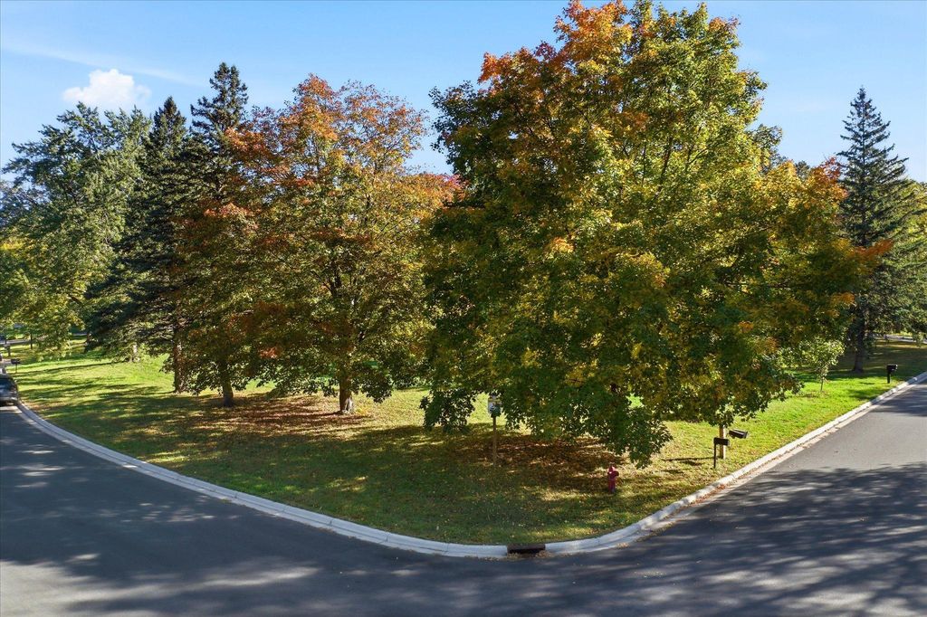 201 Douglas Drive, Buffalo, MN 55313 — photo 4