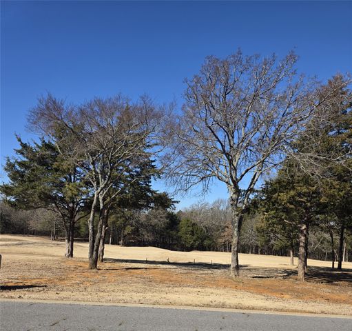 TBD-Lot 10 Reflection Bay, Gordonville, TX 76245