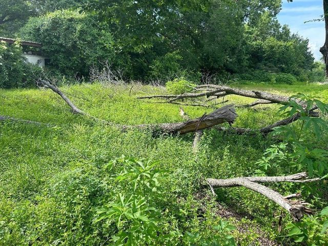 1816 Mansfield Street, Houston, TX 77091