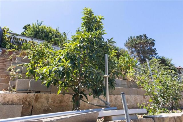 835 Raintree Place, Vista, CA 92084