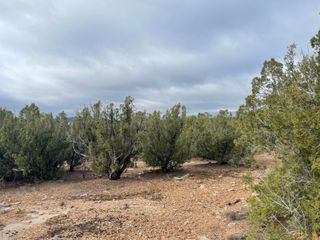11 Raindance Road, Sandia Park, NM 87047