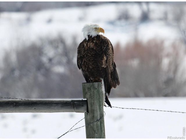 4937 Valkyrie Drive, Boulder, CO 80301