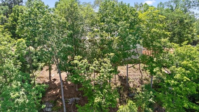 300 Chandler Rd, Doyle, TN 38559