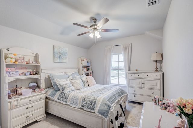 2817 Stallion Trail Way, Aubrey, TX 76227