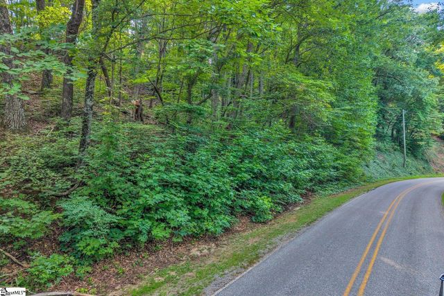 00 Hogback Mountain Road, Tryon, NC 28782