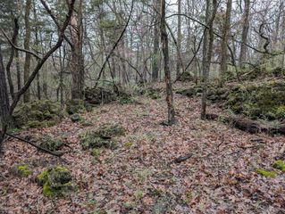 000 Grier Branch Lot 1 Road, Strafford, MO 65757