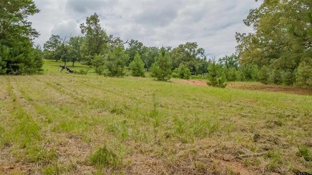 18304 Timber Oaks Drive, Hideaway, TX 75771