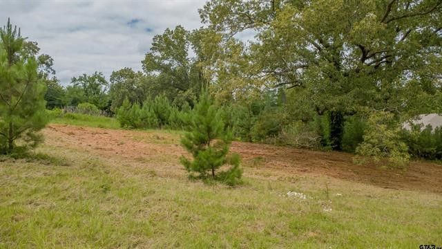 18304 Timber Oaks Drive, Hideaway, TX 75771