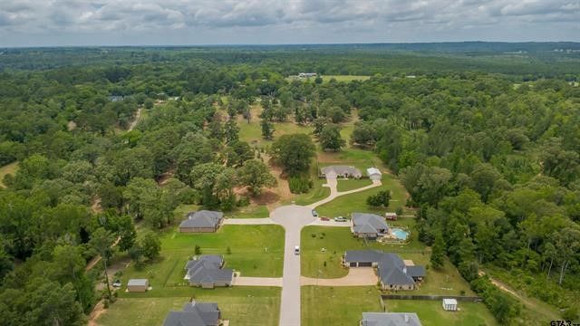 18304 Timber Oaks Drive, Hideaway, TX 75771