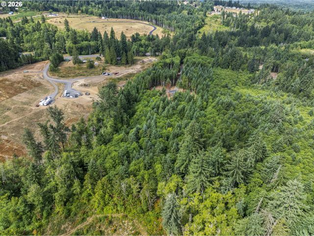 239 Durins Pl, Castle Rock, WA 98611