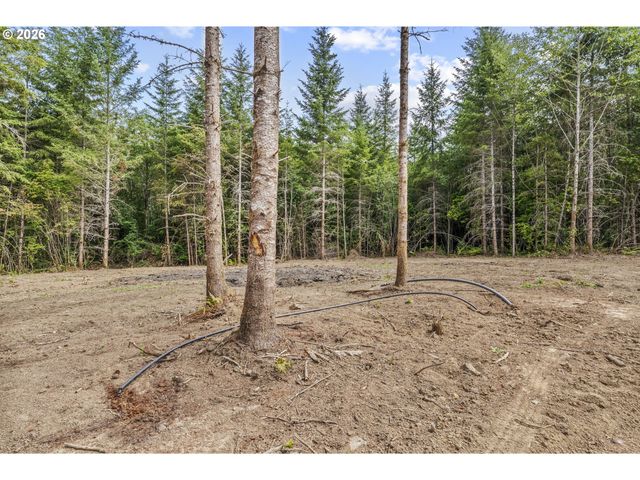 239 Durins Pl, Castle Rock, WA 98611