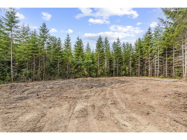 239 Durins Pl, Castle Rock, WA 98611