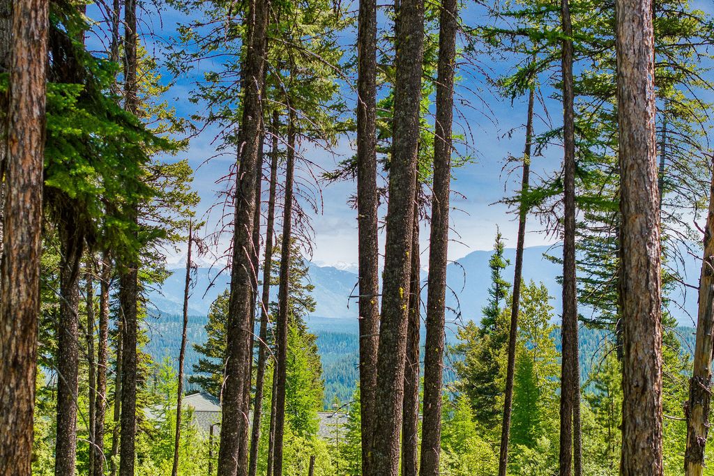 205 Ridge Run Court, Whitefish, MT 59937 photo 2