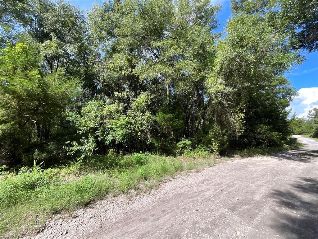 2911 VAN BUREN STREET, Inverness, FL 34453