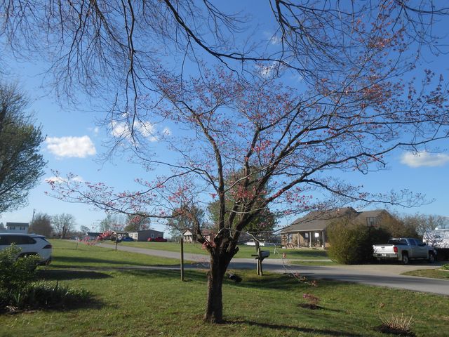 145 Tabor Road, Jeffersonville, KY 40337