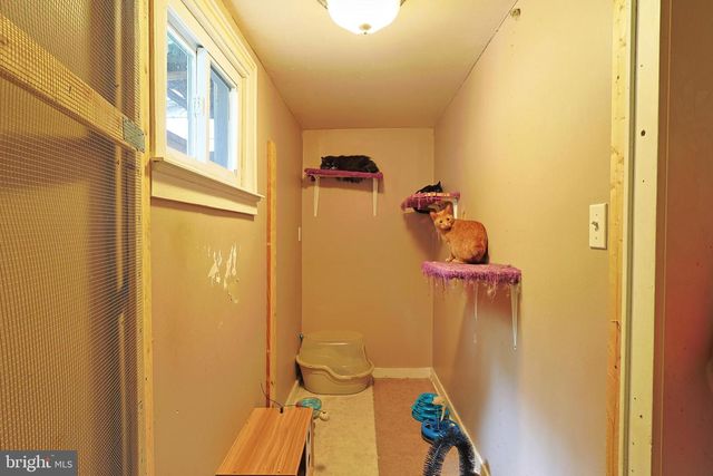 449 PINE AVENUE, Cumberland, MD 21502