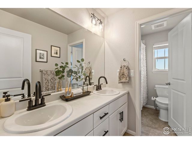 387 Seahorse Dr, Windsor, CO 80550