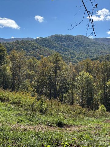 000 Cook Cove Road 2, Weaverville, NC 28787