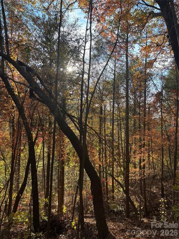 000 Cook Cove Road 2, Weaverville, NC 28787