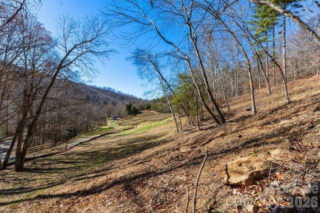 000 Cook Cove Road 2, Weaverville, NC 28787