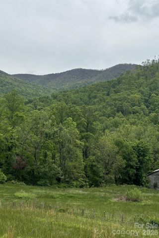 000 Cook Cove Road 2, Weaverville, NC 28787
