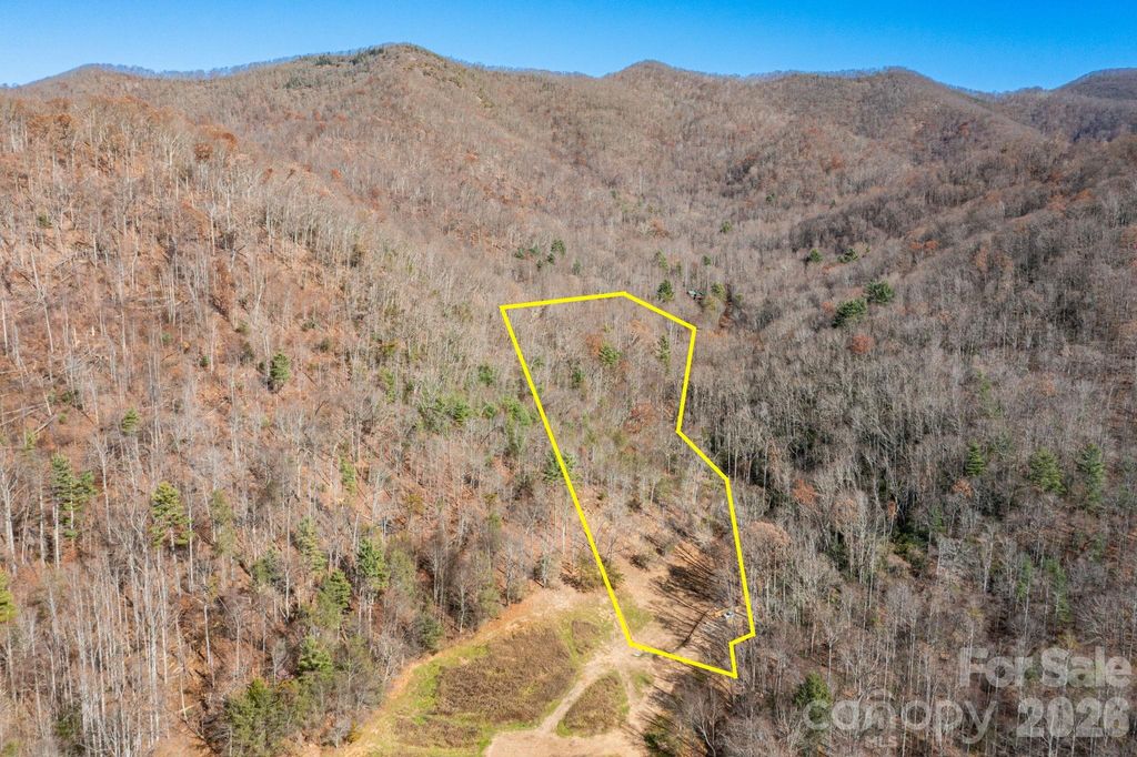 000 Cook Cove Road 2, Weaverville, NC 28787