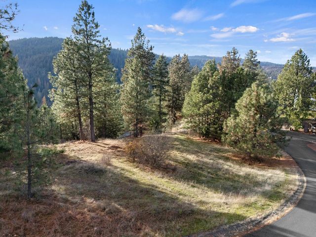 XXXX E View Ridge Ln, Spokane, WA 99206