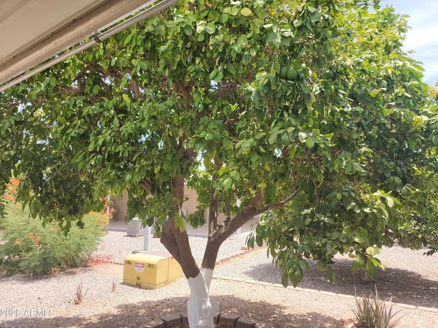3819 N WISCONSIN Avenue, Florence, AZ 85132
