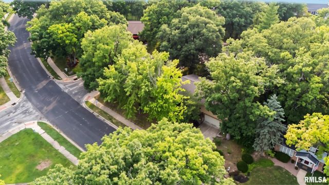 1039 W WONDERVIEW Drive, Dunlap, IL 61525