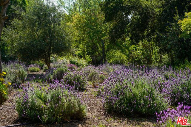 1516 Monarch Drive, Santa Ynez, CA 93460