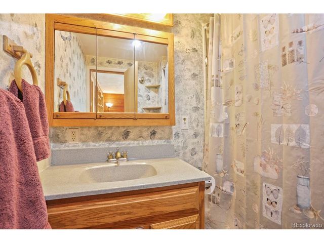1006 County Road 72, Bailey, CO 80421