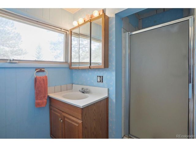 1006 County Road 72, Bailey, CO 80421