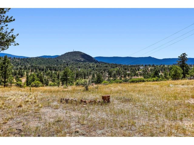 1006 County Road 72, Bailey, CO 80421
