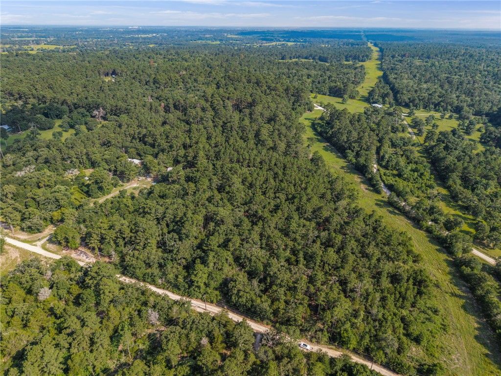 1885 Double Price Lane, Bedias, TX 77831 — photo 5