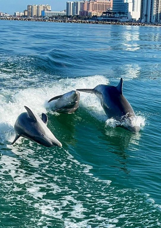 Image 44 of property listing at 12760 SW LAKE SIDE DRIVE, Arcadia, FL 34269