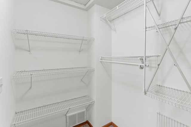 1585 Millpond Court, Chaska, MN 55318