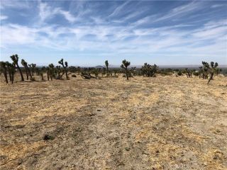 10823 Daisy Court, Pinon Hills, CA 92372