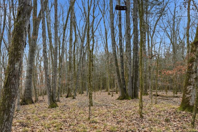 800 Nelson Rd, Pulaski, TN 38478