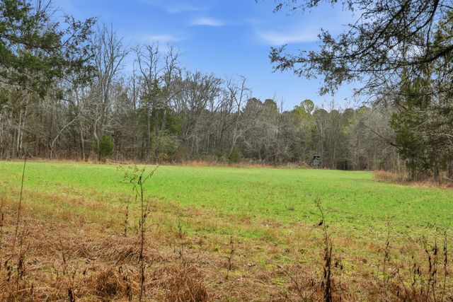 800 Nelson Rd, Pulaski, TN 38478