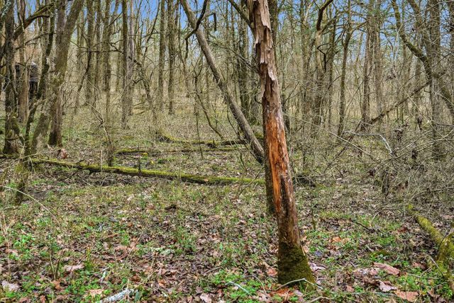 800 Nelson Rd, Pulaski, TN 38478