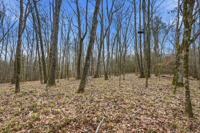 800 Nelson Rd, Pulaski, TN 38478