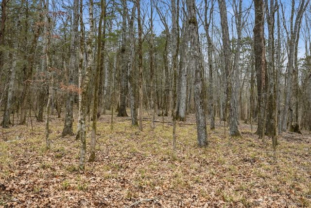 800 Nelson Rd, Pulaski, TN 38478