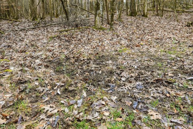 800 Nelson Rd, Pulaski, TN 38478