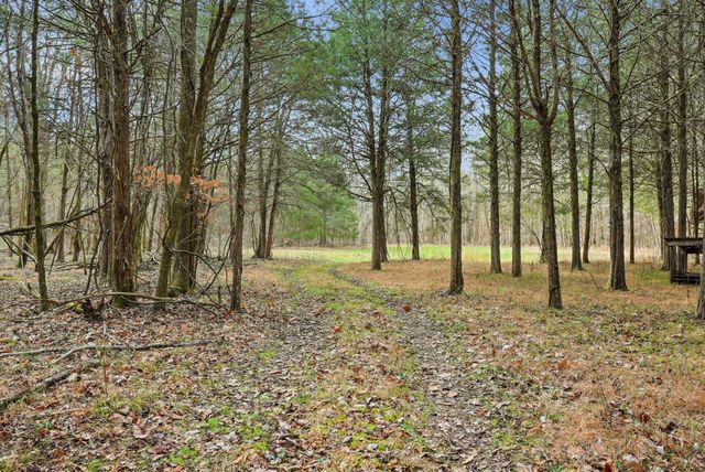 800 Nelson Rd, Pulaski, TN 38478