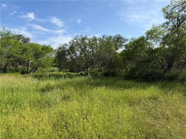 301 Paisano Dr., George West, TX 78022