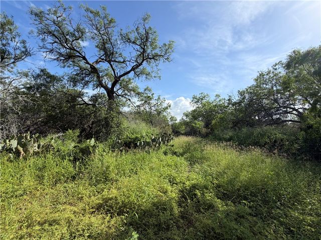 301 Paisano Dr., George West, TX 78022