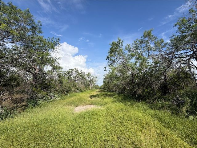 301 Paisano Dr., George West, TX 78022