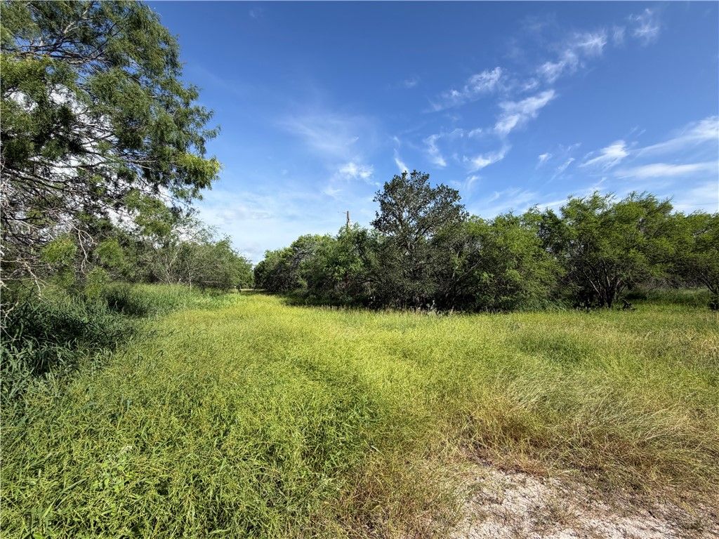301 Paisano Dr., George West, TX 78022